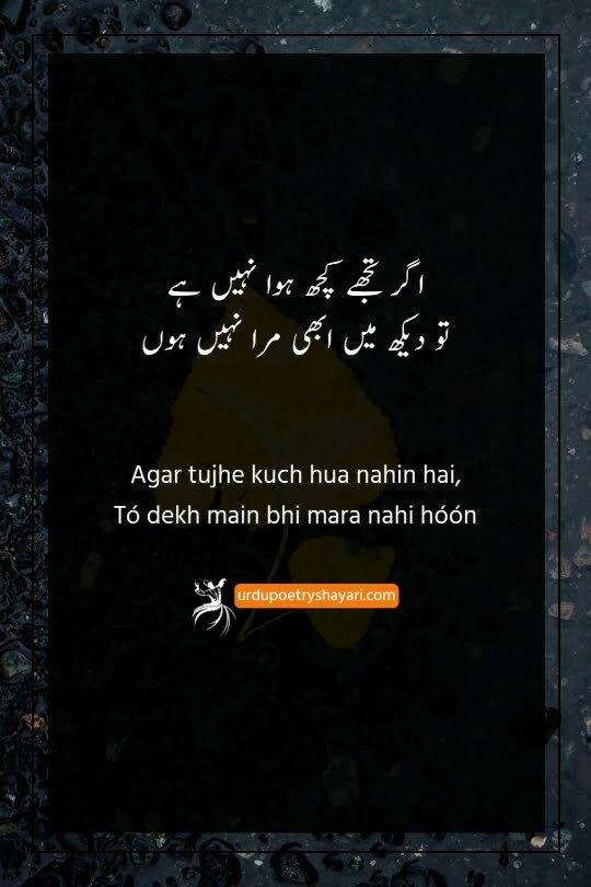 wo bewafa hai to kya poetry in urdu