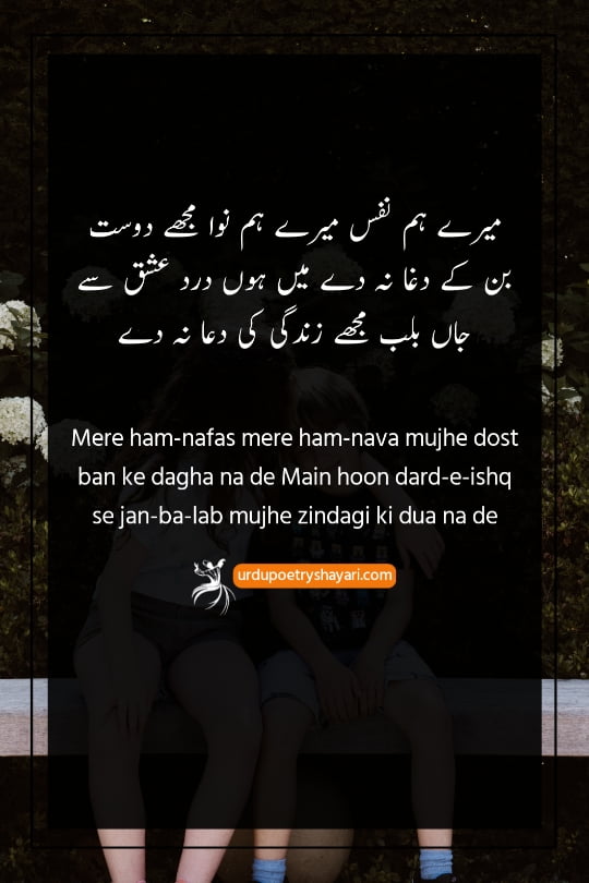 poetry on true friendship in urdu