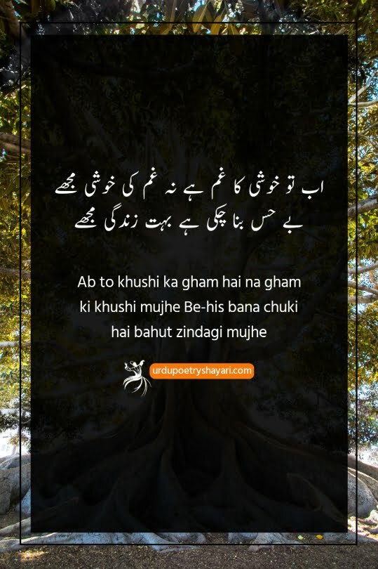 urdu poetry on life struggle