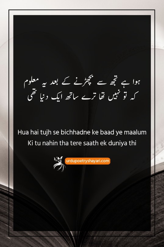 funny love poetry in urdu