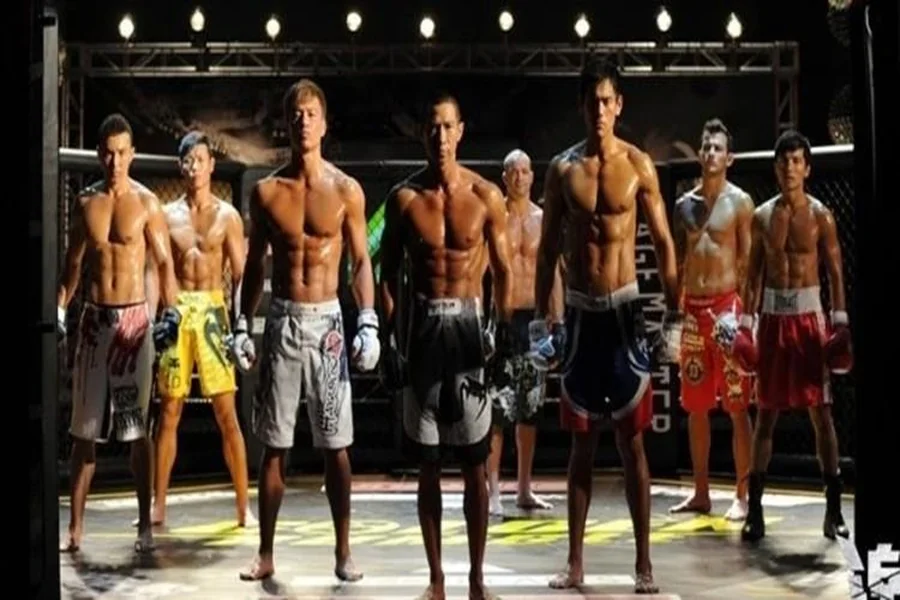 10 Best MMA Shorts for Performance Training This Year